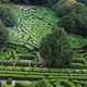 Image for article titled 23 Amazing Labyrinths To Get Lost In